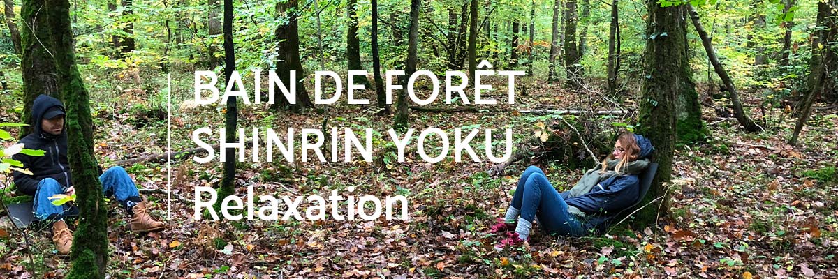 bain-foret-shinrin-yoku-sylvotherapie-relaxation